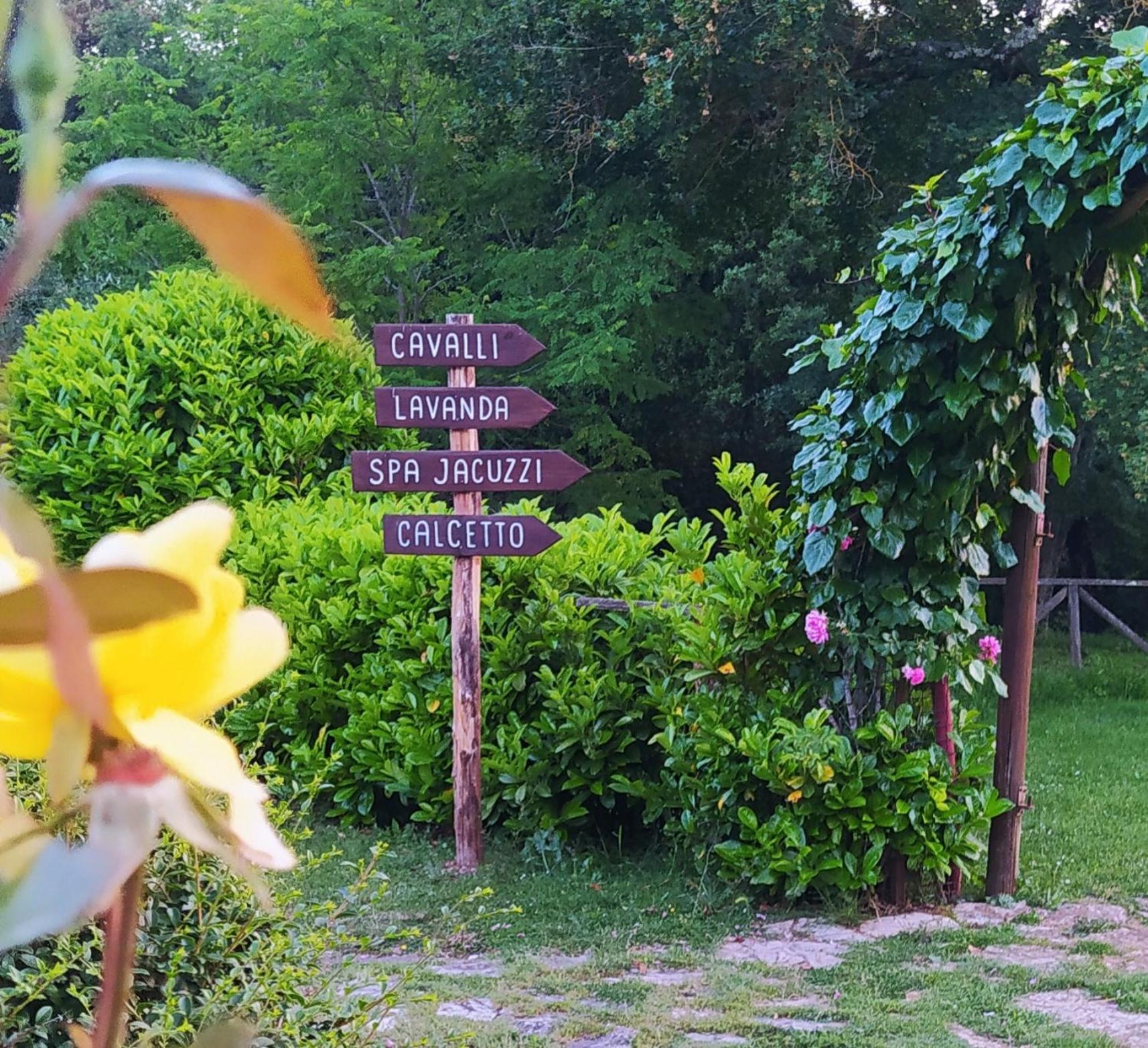 Agriturismo Podere Poggiarone رابولانو تيرمي المظهر الخارجي الصورة